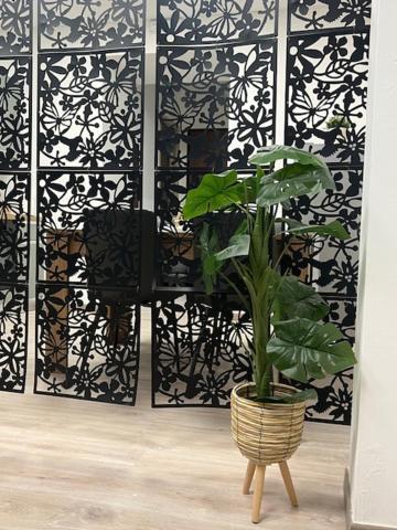 Residence Morena Rome Bagian luar foto